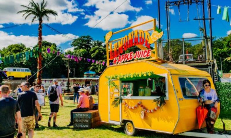 'Last chance' opportunity to nab Electric Picnic tickets - but there's a catch