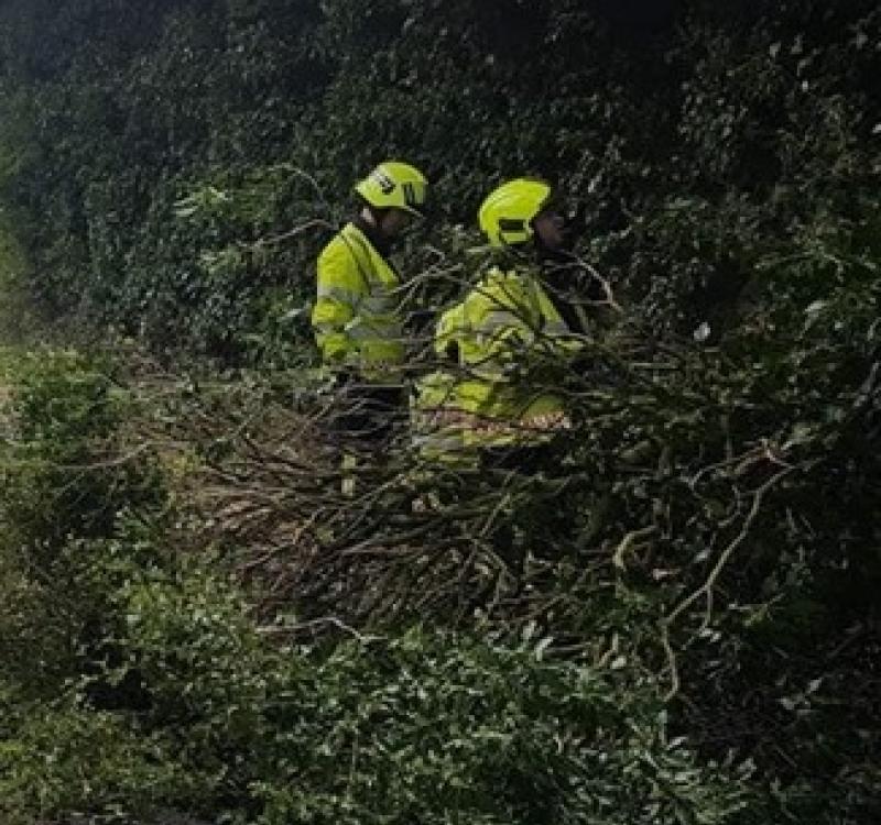 Tipperary emergency services prevent the risk of &lsquo;a head on collision&rsquo; by removing fallen tree from road