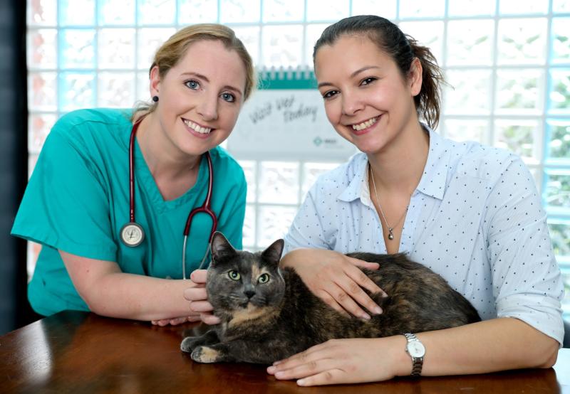 Waterford cat lovers urged to seek vet advice on the ‘purr-fect’ parasite treatment