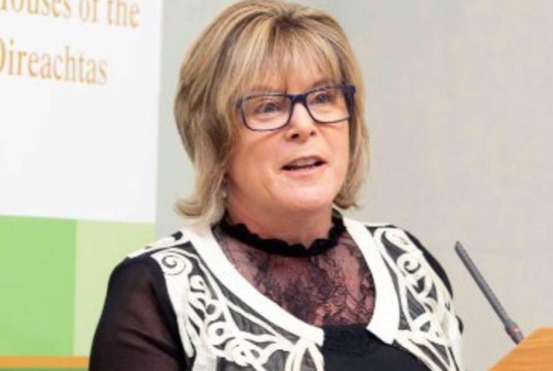 Waterford TD disappointed with Carlow over university 'roadblock'