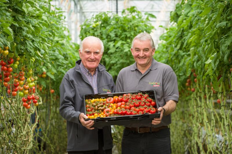 Waterford's Grantstown Tomatoes 'motivated by changing taste of customers'