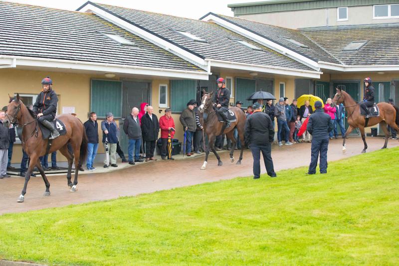Crowds from Waterford and Kilkenny enjoy racehorse trainer Eoin Griffin's successful open day