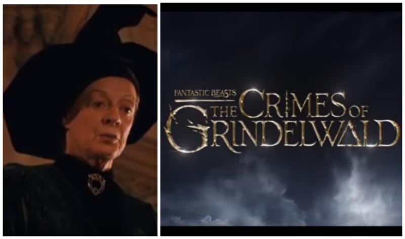 Carrick-on-Suir woman to play very familiar Harry Potter character in spin-off movie 