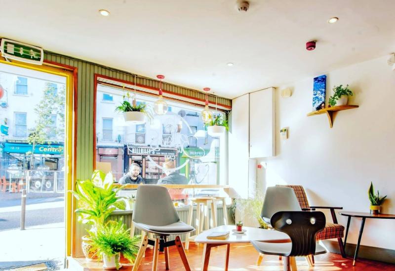 Waterford's 'cannabis café' cleared to re-open following plant testing 