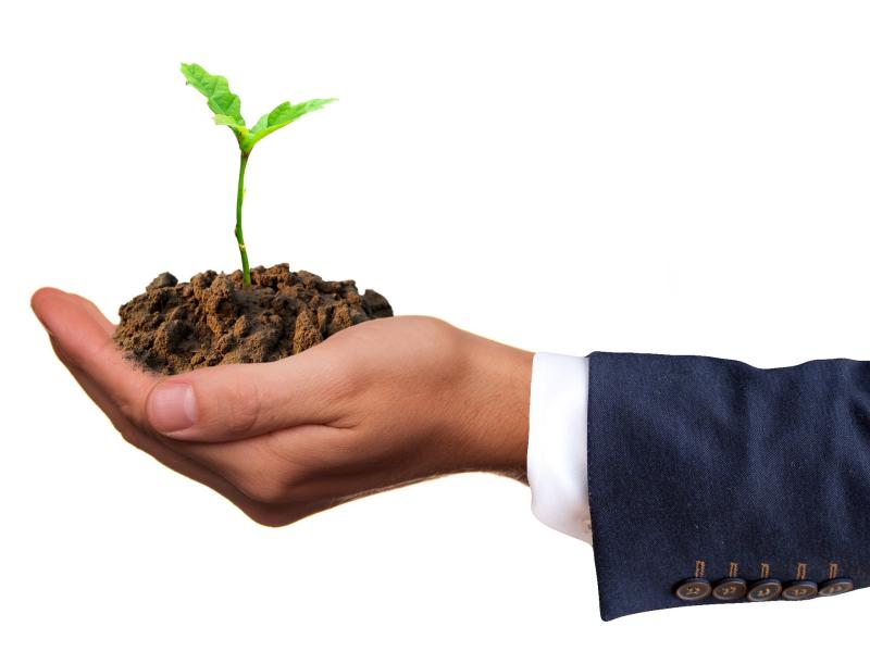 Waterford projects awarded grants under Energia Get Ireland Growing Fund