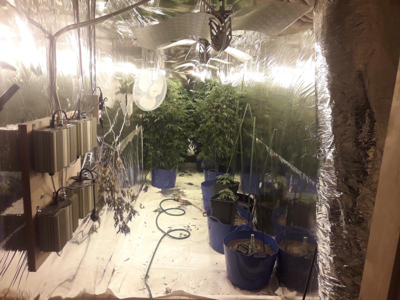 Armed gardaí seize €360,000 worth of drugs in Waterford 