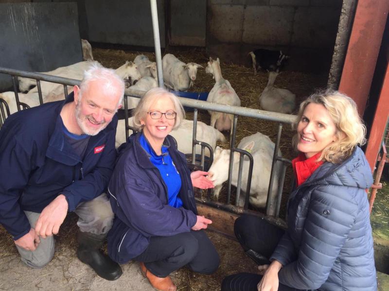Waterford farmers to make TV appearance on RTÉ