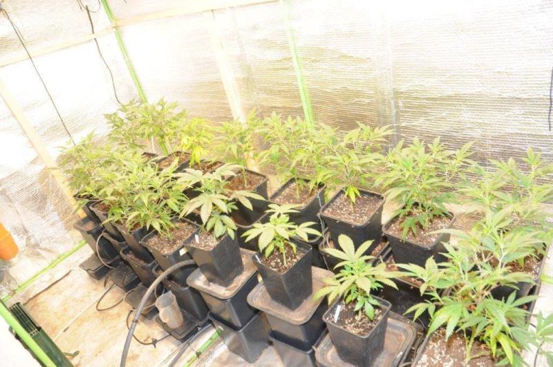 Man arrested during €30,000 Waterford drugs raid 