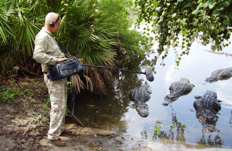 David Attenborough's sound recordist to tell Waterford event about his incredible work