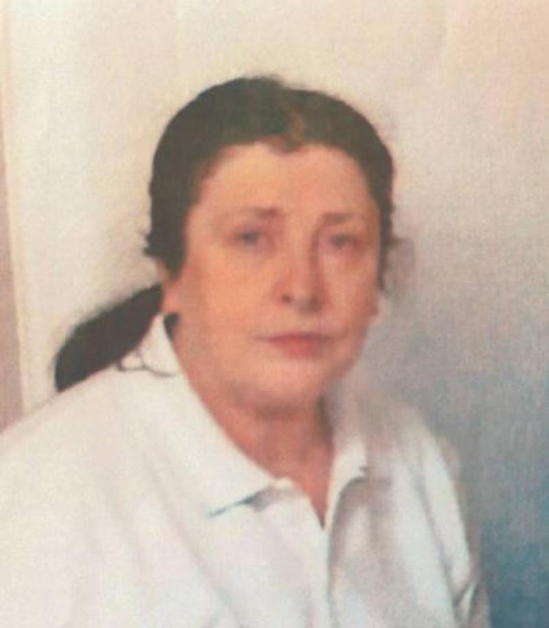 Limerick gardaí appeal for whereabouts of missing woman