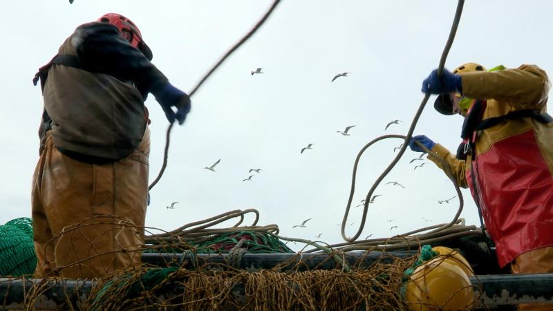 Waterford&rsquo;s fishing industry on &lsquo;fatal course&rsquo; amid &lsquo;hammer blow&rsquo; decision