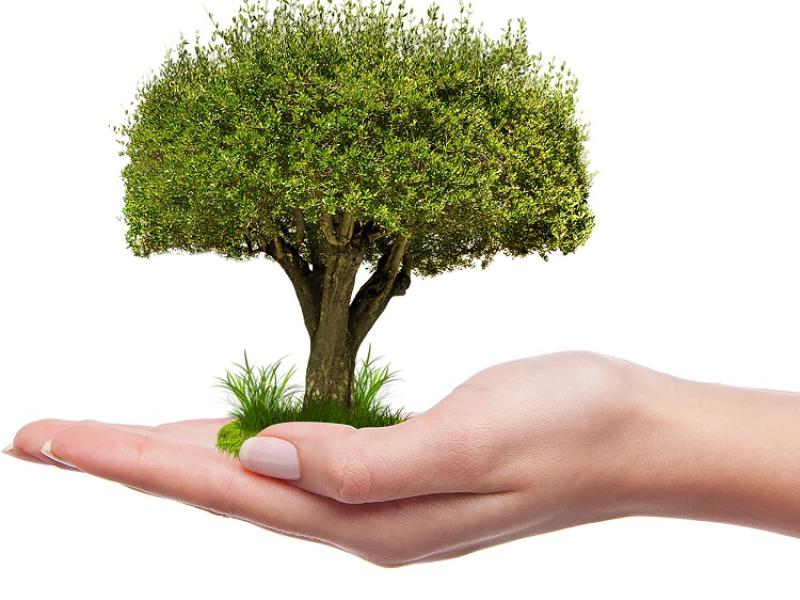 HIRING! Unusual job listed for Waterford with weekly salary of up to €900 a week