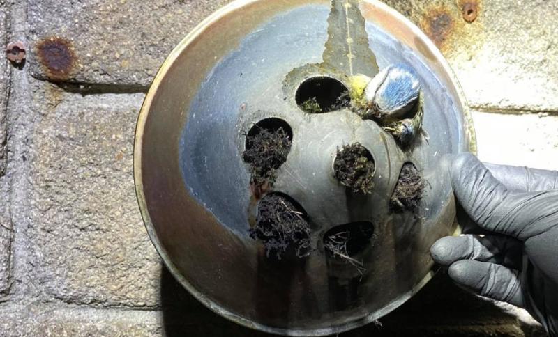 Carbon monoxide scare as Waterford firefighters find terrifying boiler blockage