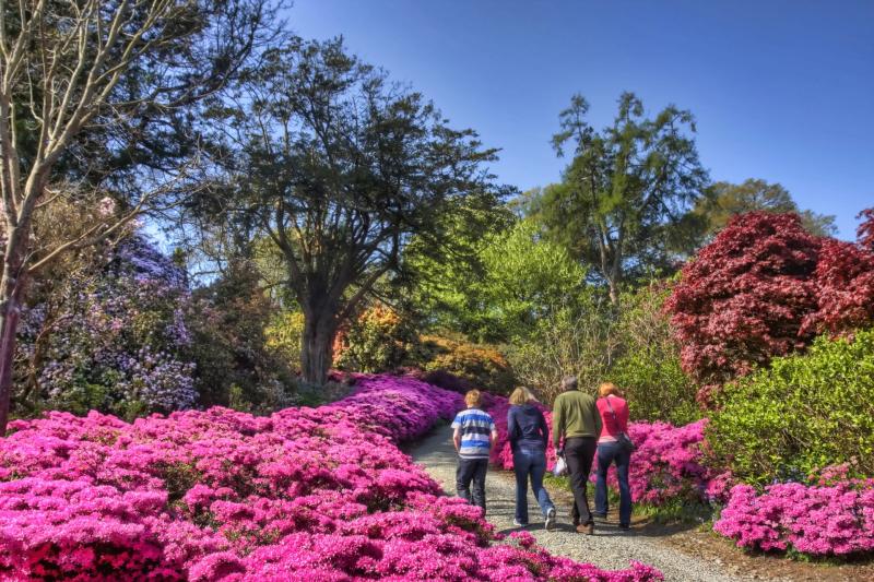 Re-opening date announced for Mount Congreve Gardens in Waterford