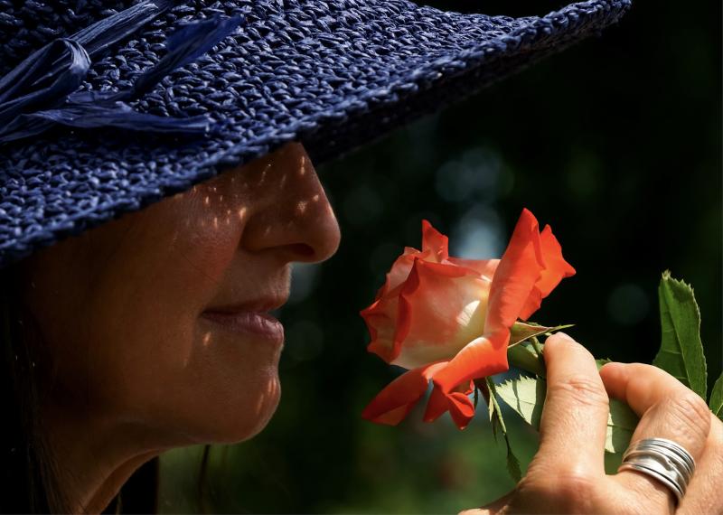 Has your sense of smell or taste changed during the Covid-19 pandemic?