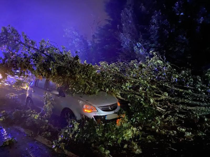 Irish motorist has lucky escape after tree falls on car during Storm Ellen