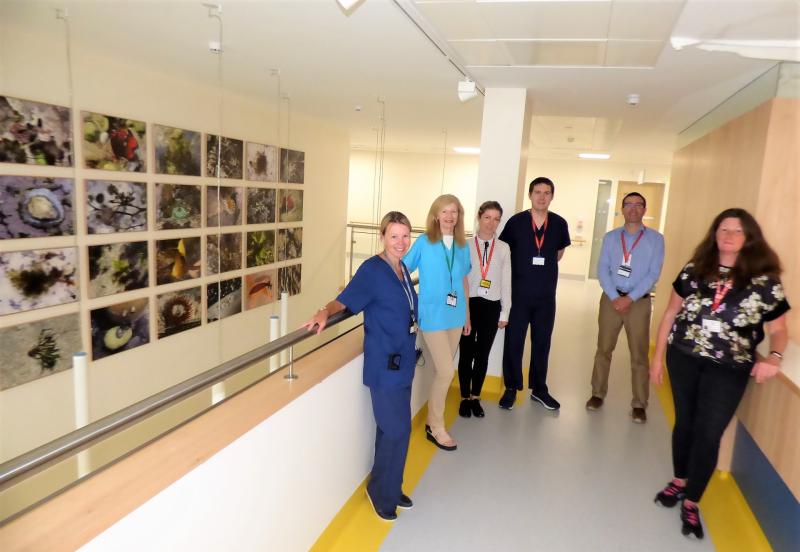HSE staff and Waterford Hospice Movement representatives at UHW