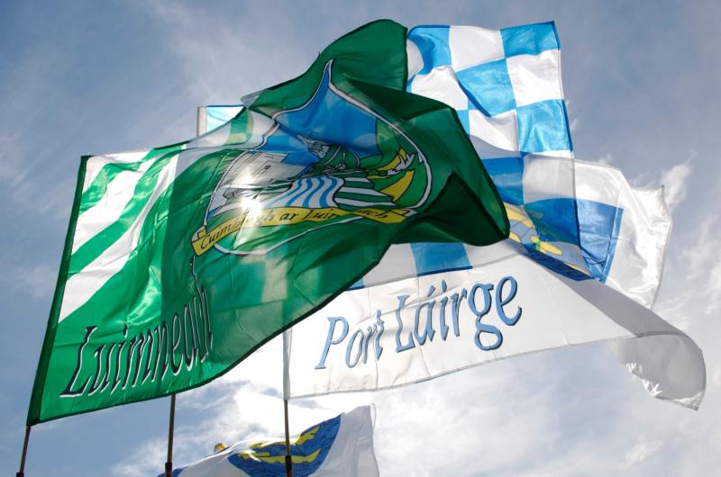 Venue confirmed for Limerick v Waterford Munster hurling final