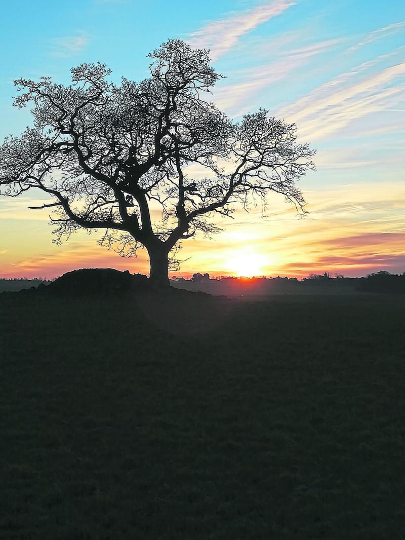 WATERFORD WEATHER: Dry and bright today (Christmas Day) with some showers