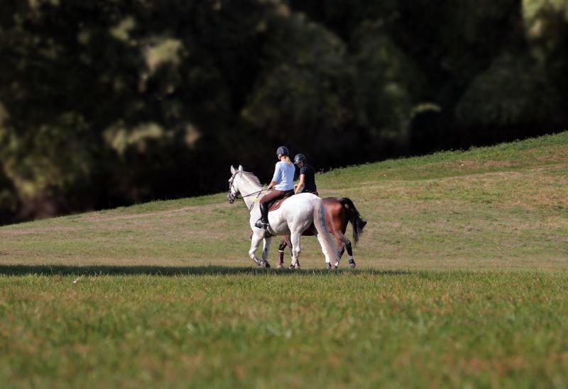 Horse Road Safety Appeal is launched as survey reveals 4 in 5 horse riders experience issues on Irish roads