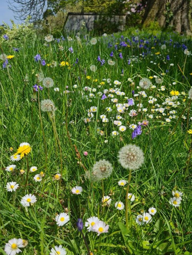 Waterford announced as recipient of Creative Climate Action funding