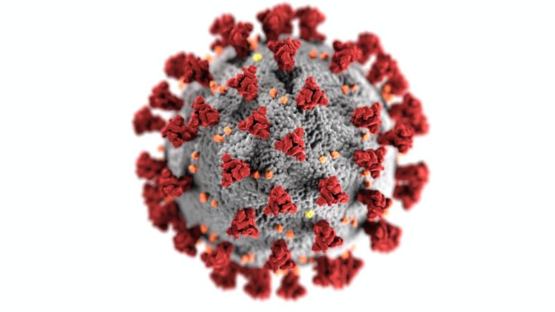 Concern within WHO as they monitor new coronavirus variant 