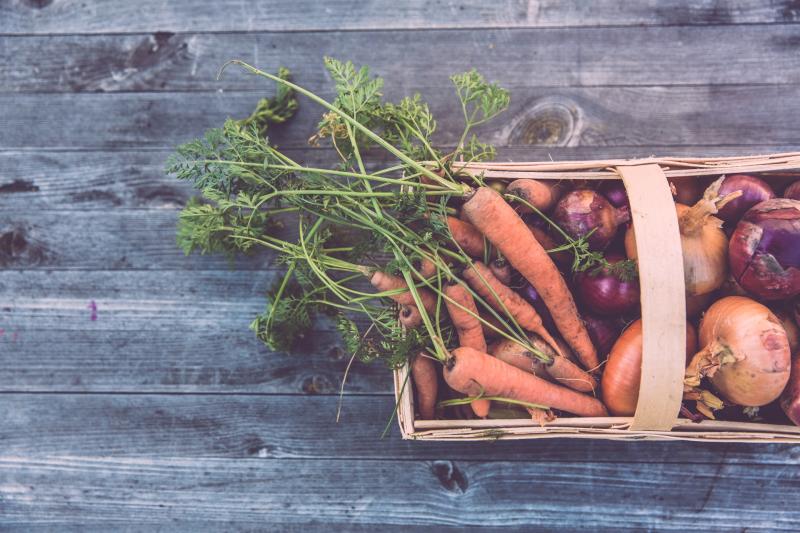 Calling all foodies!  Waterford Harvest Festival returns