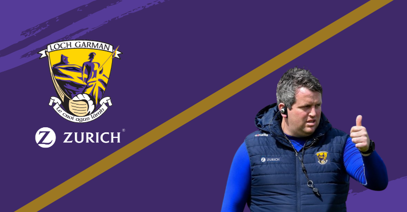 Wexford appoint Davy Fitzgerald's successor 