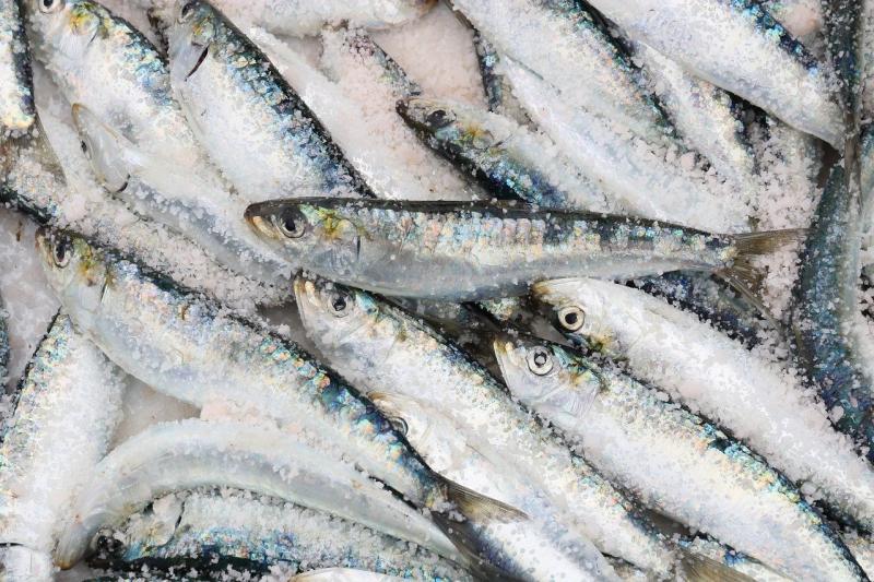 NOTICE: Seafood products removed from Irish supermarket shelves