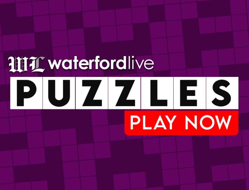 Waterford Live Interactive Digital Puzzles