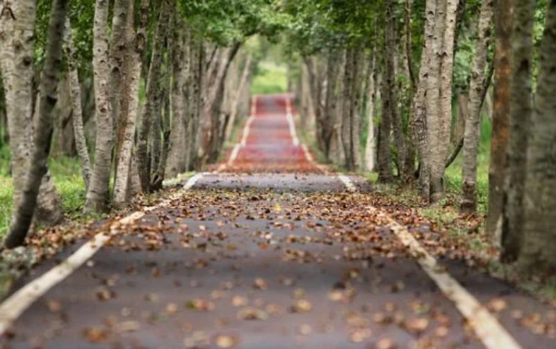 Roads reopened in Waterford 