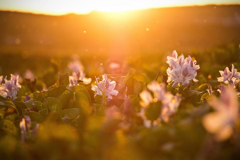 WATERFORD WEATHER: Bright and sunny spells to continue throughout the day