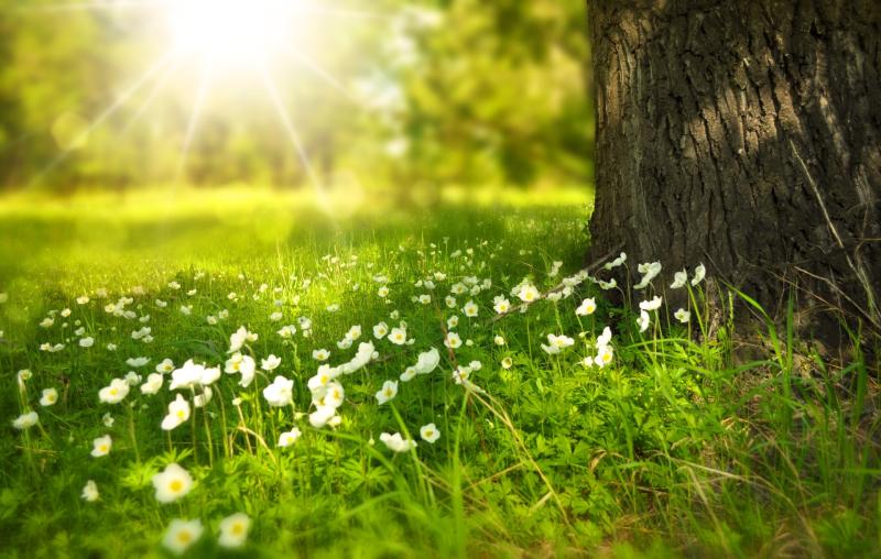 WATERFORD WEATHER: Bright and sunny again today with temperatures reaching 21 degrees