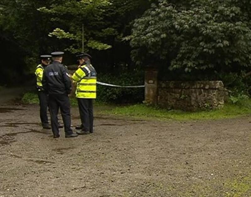 Man accused of murder in Irish woods refuses to attend trial