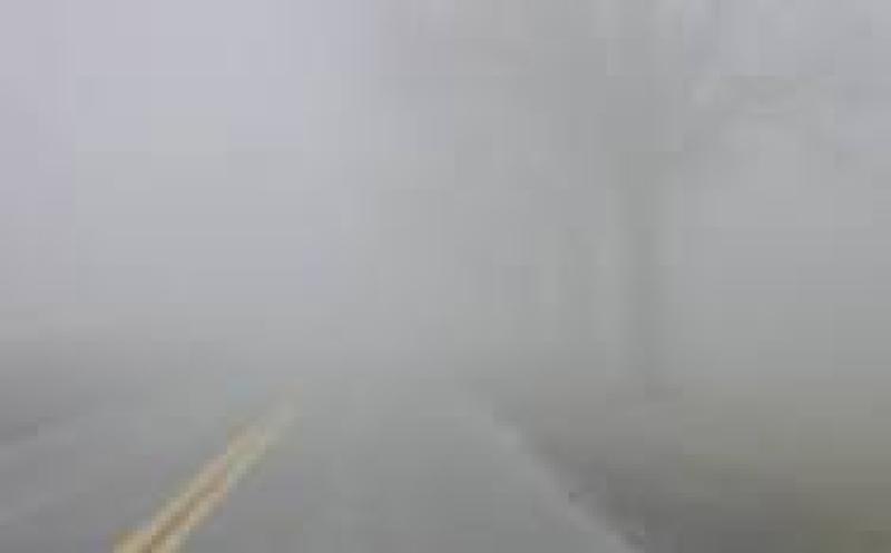 WEATHER: Mist and fog with scattered showers expected in Waterford today (Dec 17)