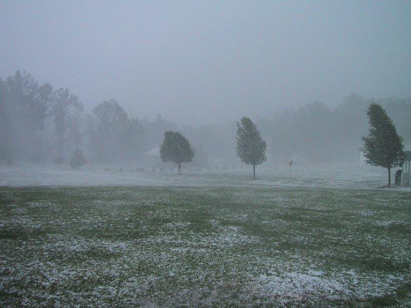 WATERFORD WEATHER: Cold day ahead (March 8) with frost and isolated showers