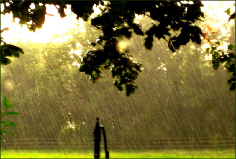 WATERFORD WEATHER: Sunshine and cloud cover expected today (Jan 30) with spots of rain