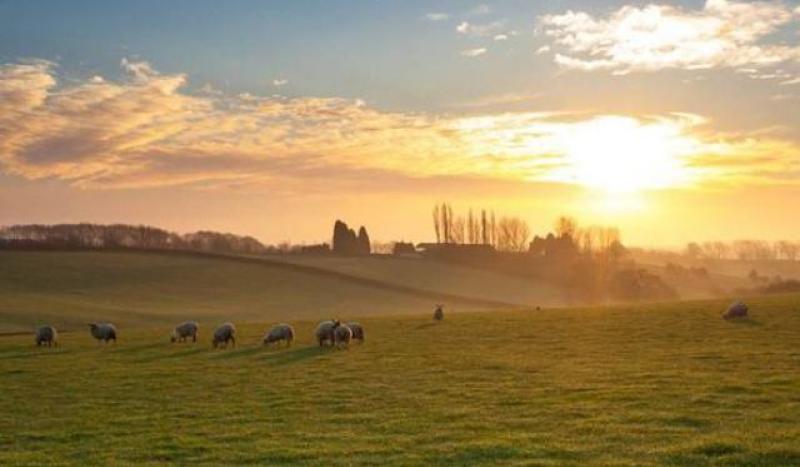 WATERFORD WEATHER: Dry and mild with sunny spells today (April 4)