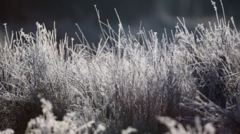 Scattered showers expected in Waterford today (Dec 5) with widespread frost overnight
