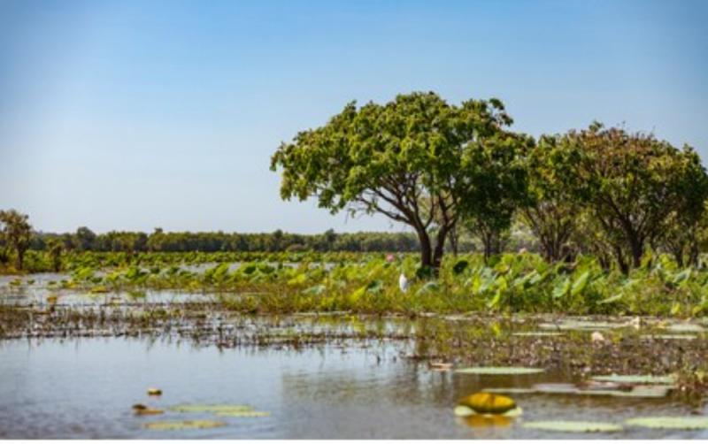 Waterford people invited to attend  World Wetlands Day in Tramore