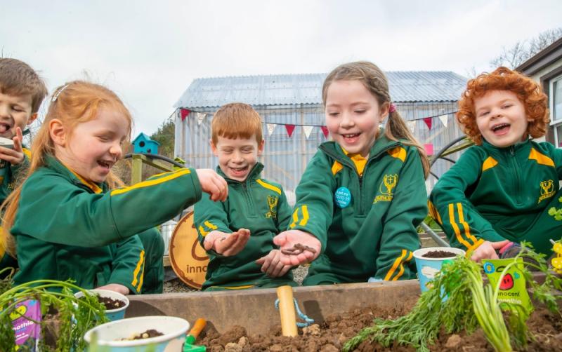Waterford schools are encouraged to apply for free growing kits with The Big Grow 