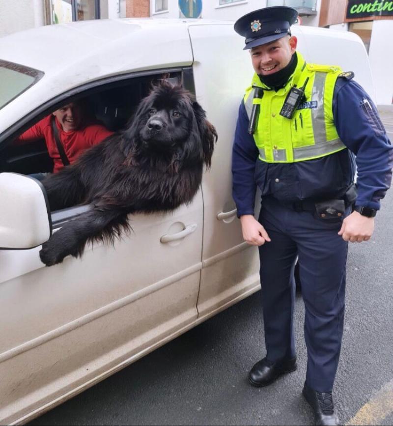 CAPTION COMPETITION:  Paw Patrol hits the streets of Waterford 
