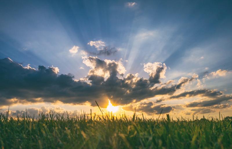 WATERFORD WEATHER: Dry with sunny spells and high temperatures today (May 16)