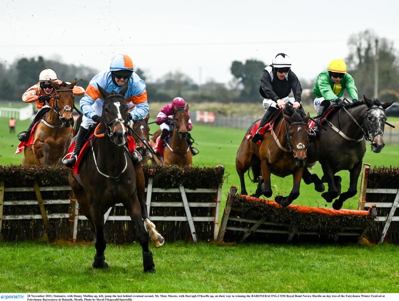 Waterford trainer with just three horses aiming for Grade One glory at Fairyhouse 