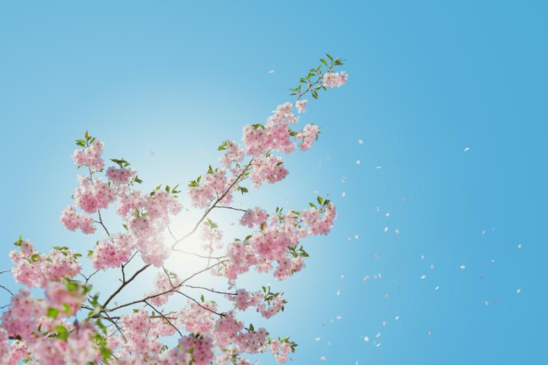 WATERFORD WEATHER: Mainly dry for the weekend with temperatures hitting mid teens