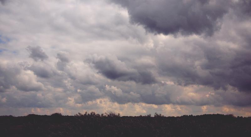 WATERFORD WEATHER: Mainly dry today with isolated showers breaking later in the day 
