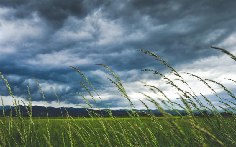 WATERFORD WEATHER: A blustery day ahead with scattered showers expected