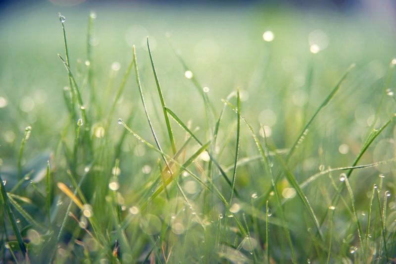 WATERFORD WEATHER: An unsettled weekend ahead with heavy showers and spells of sunshine 