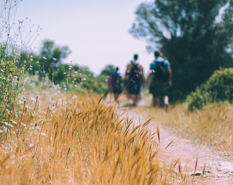 Calling all Waterford hikers! Hike your way to the top of Lugnaquilla in aid of Peter McVerry Trust