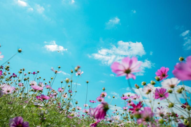 WATERFORD WEATHER: Possible showers expected but looking mainly dry and sunny for the weekend ahead